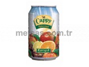 Cappy Meyve Suyu Kark Kutu 330ml 24'l Koli